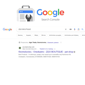 GOOGLE ПОИСК