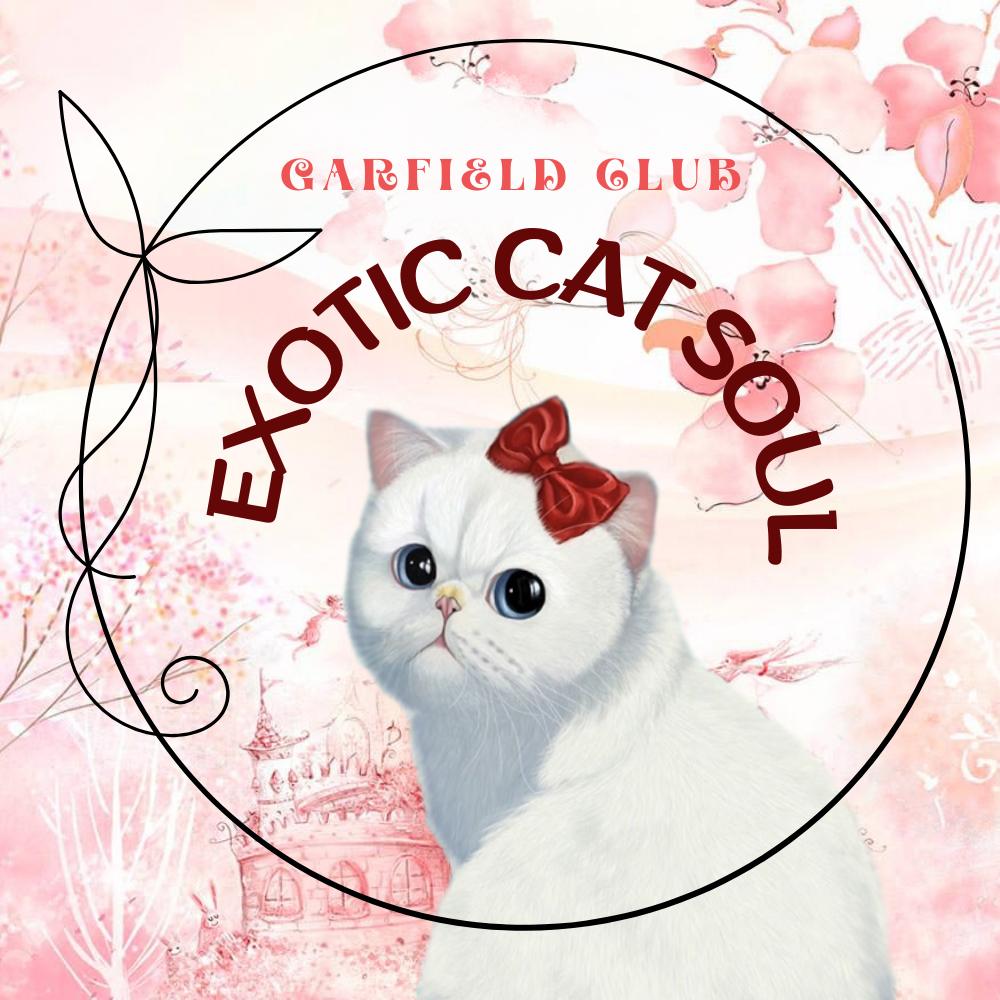 Exotic Cat Soul